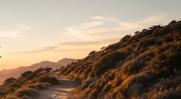 A trail at golden hour